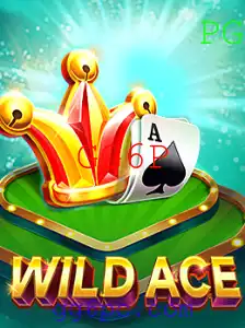 Explorando o Universo de WildAce: Um Guia para Iniciantes